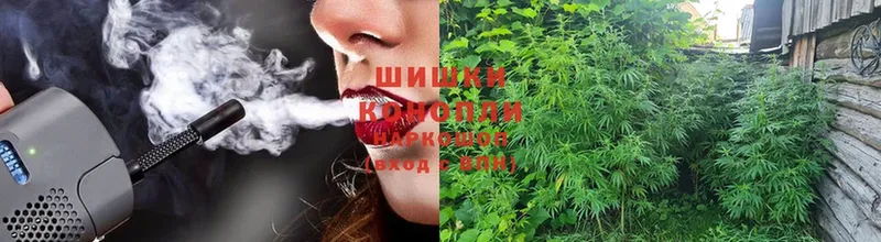 Шишки марихуана THC 21%  купить   Бугульма 